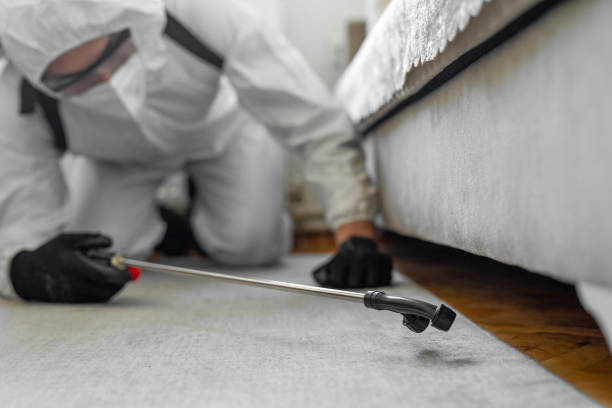 Professional Termite Control technician working in Morton Grove, IL