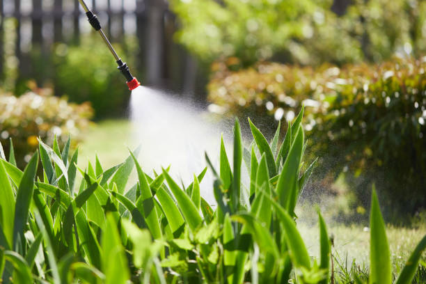 24/7 Emergency Termite Control experts in Morton Grove, IL