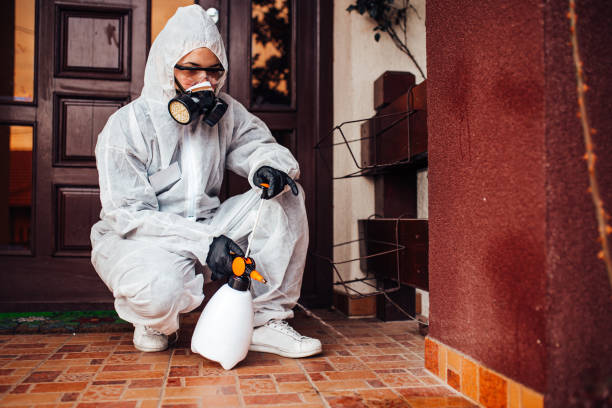 Reliable Termite Control contractor in Morton Grove, IL by Nex Pest Control