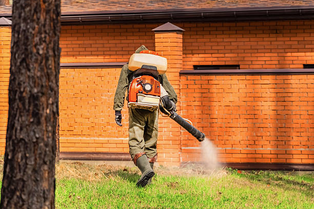 Trusted Cockroach Control service in Morton Grove, IL - Nex Pest Control